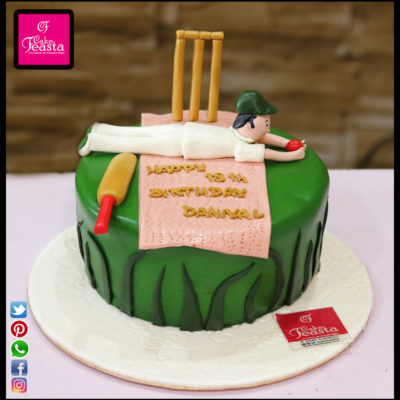 Cricket Lovers Birthday Cake