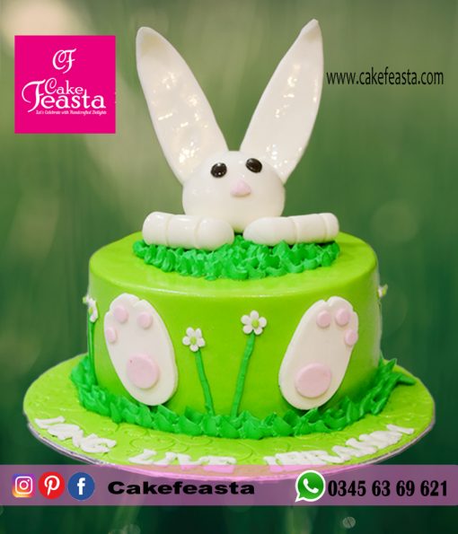 Rabbit Theme Birthday Cake